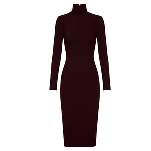 Crepe Turtleneck BodyCon Dress